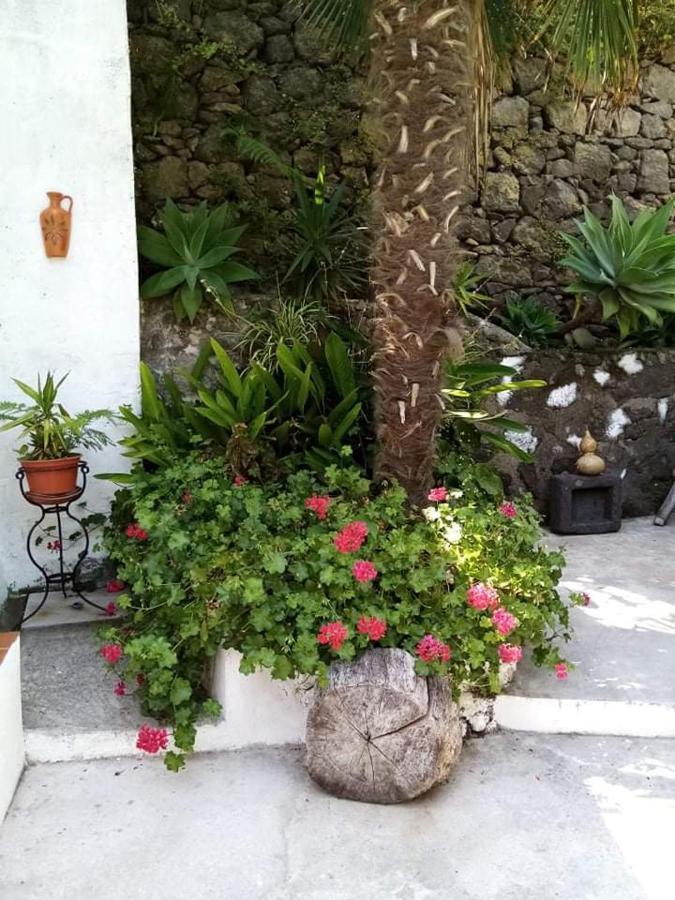 Ribeira Da Praia House Vila Franca do Campo Ngoại thất bức ảnh